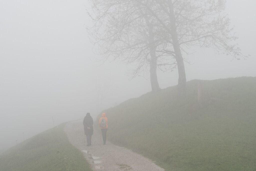 Mist op de Veluwe