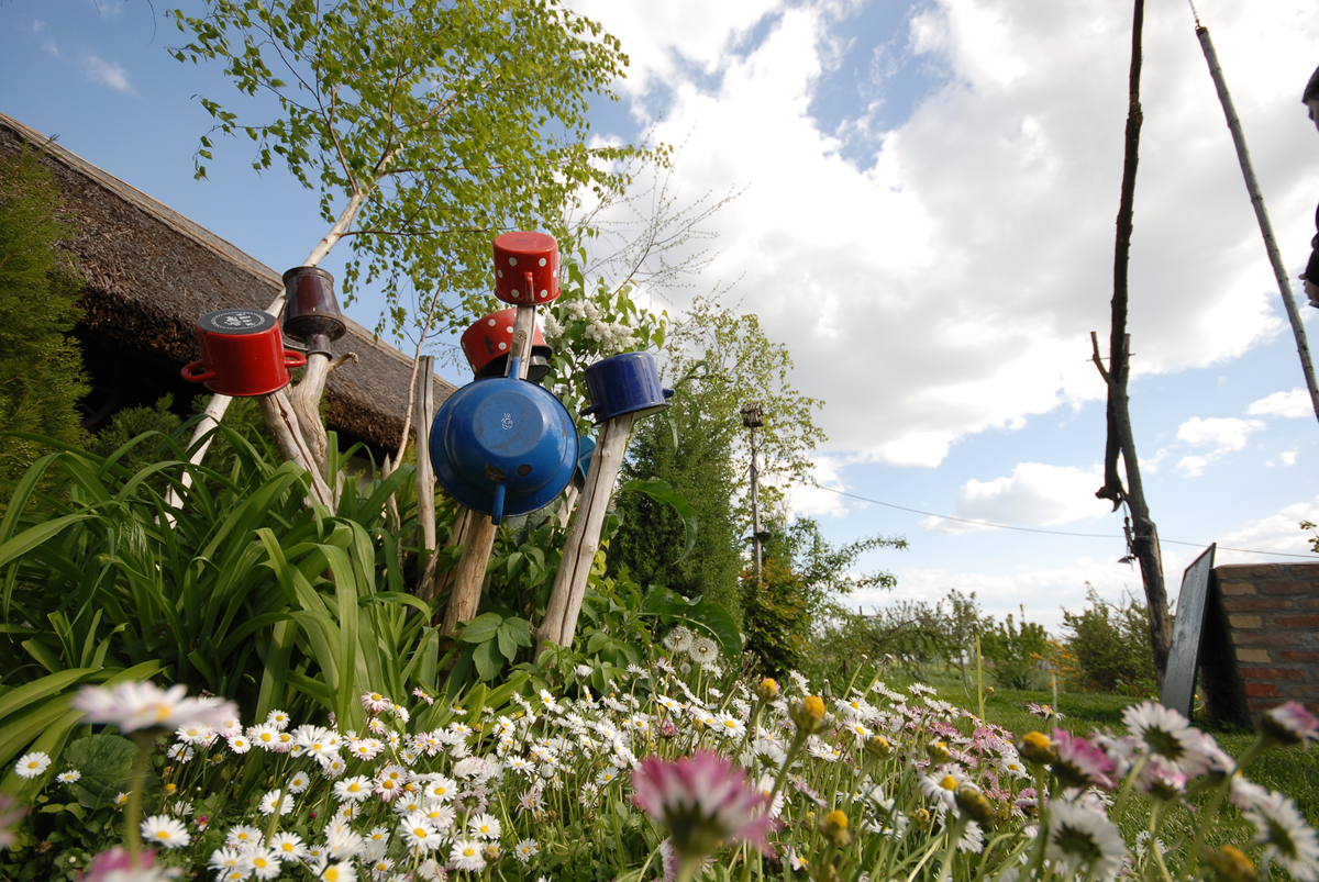 Presentatie over bij- en vlindervriendelijke tuin in Ermelo