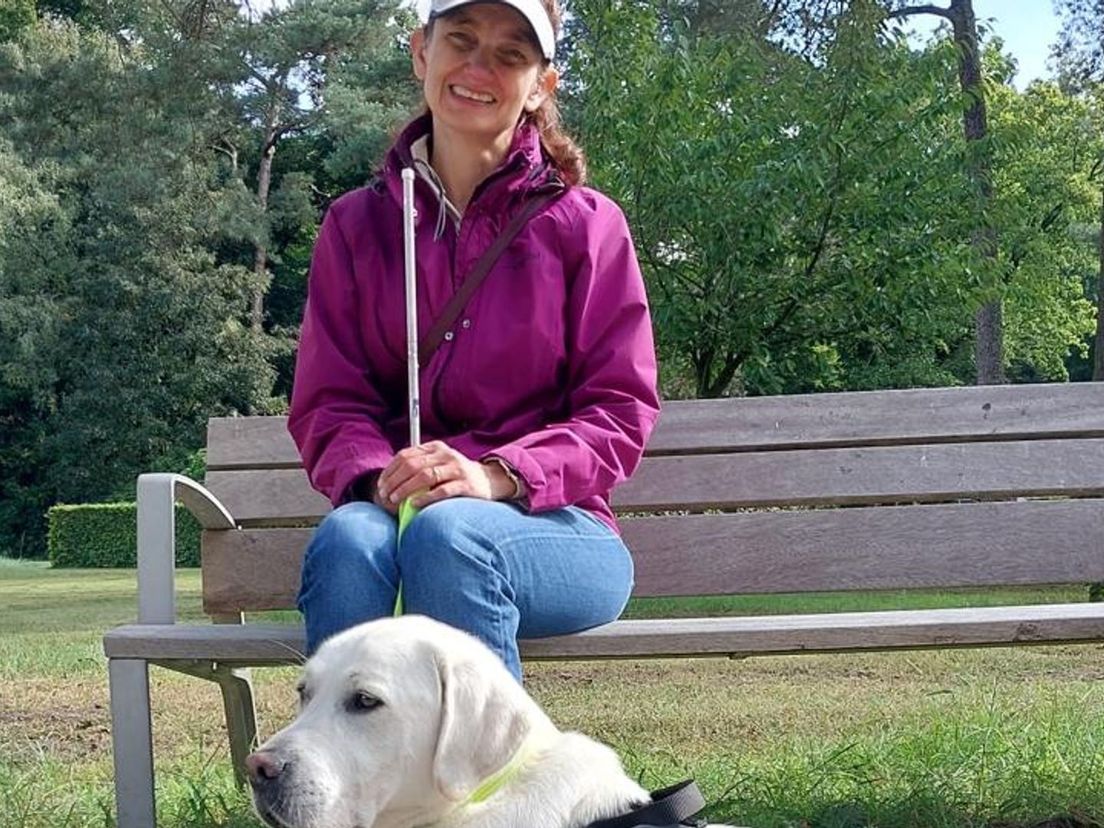 Confrontatie met wolf in Ermelo