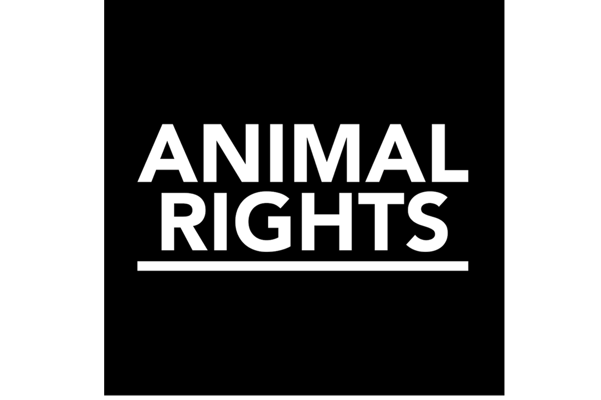 Animal Rights dringt aan op maatregelen tegen Tomassen Duck-To in Ermelo